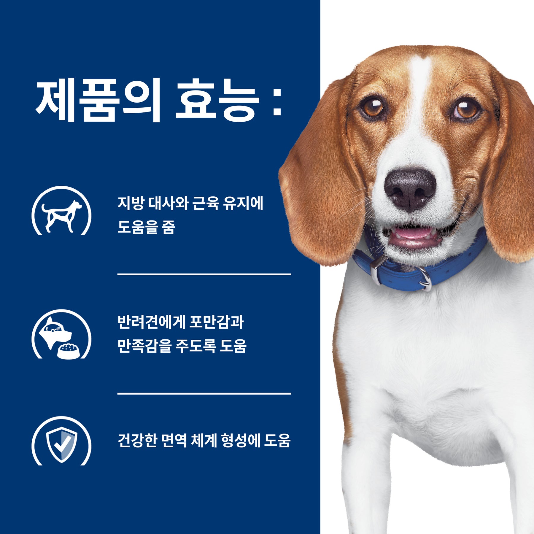 힐스 프리스크립션 다이어트 r/d 반려견용 건사료