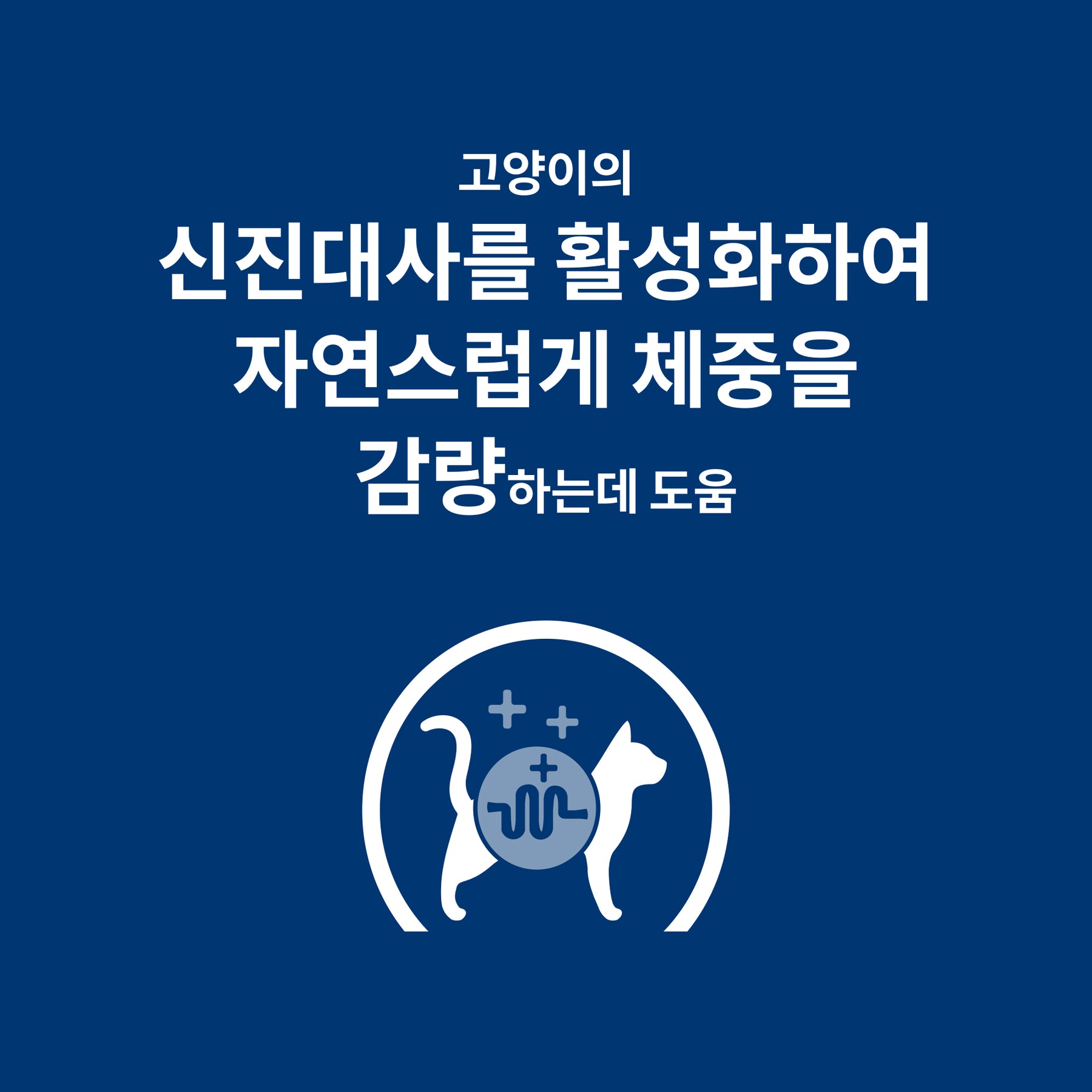 힐스 프리스크립션 다이어트 Metabolic 반려묘용 건사료