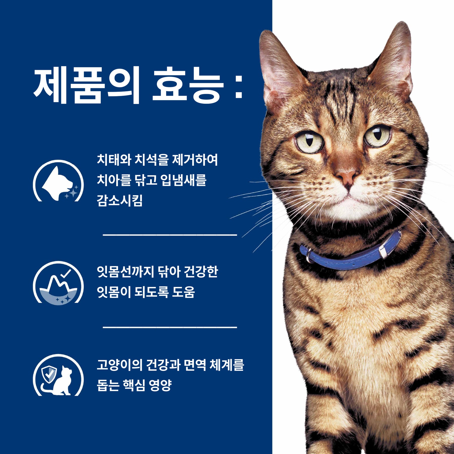 힐스 프리스크립션 다이어트 t/d 반려묘용 건사료 1.5kg