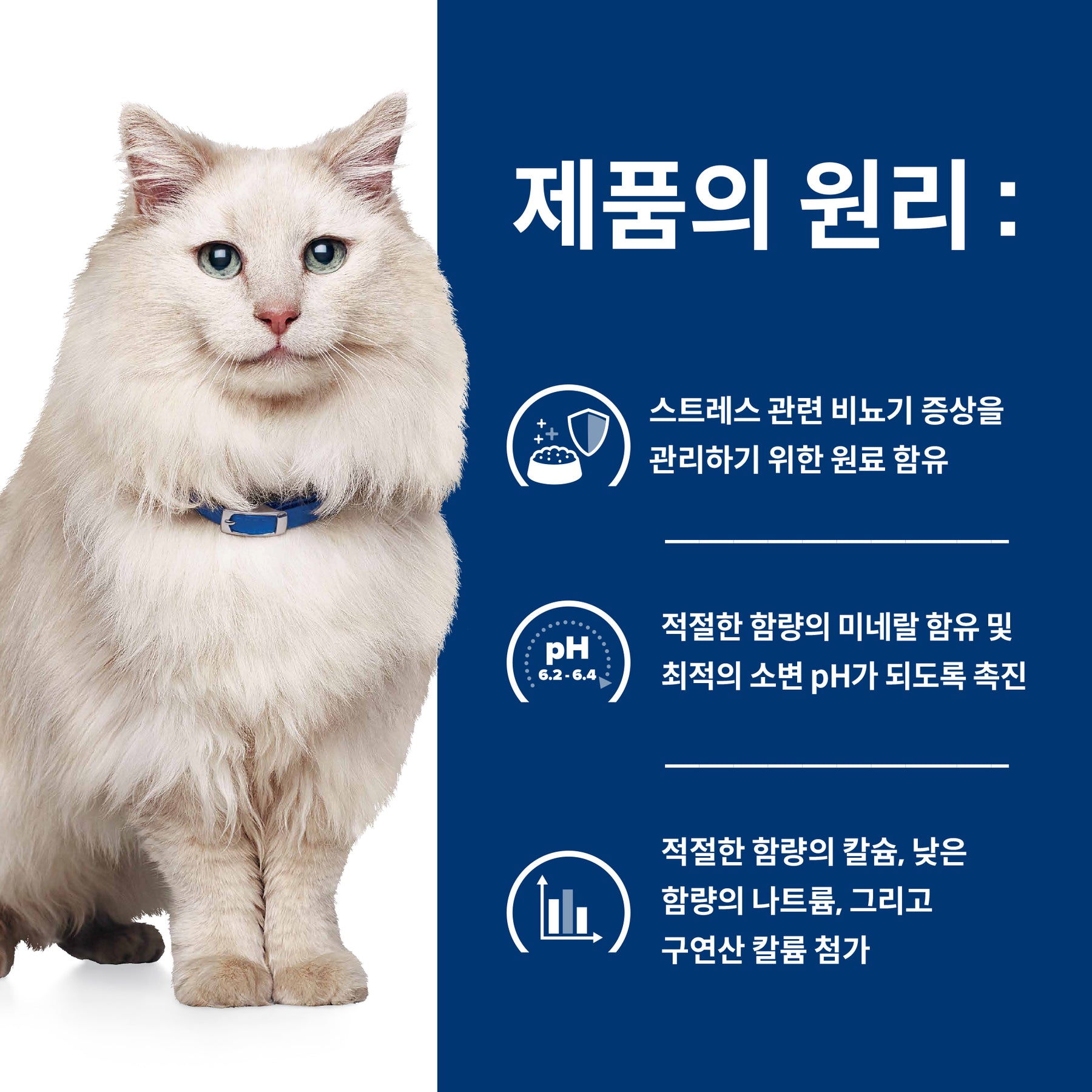 힐스 프리스크립션 다이어트 c/d 멀티케어 스트레스 반려묘용 건사료