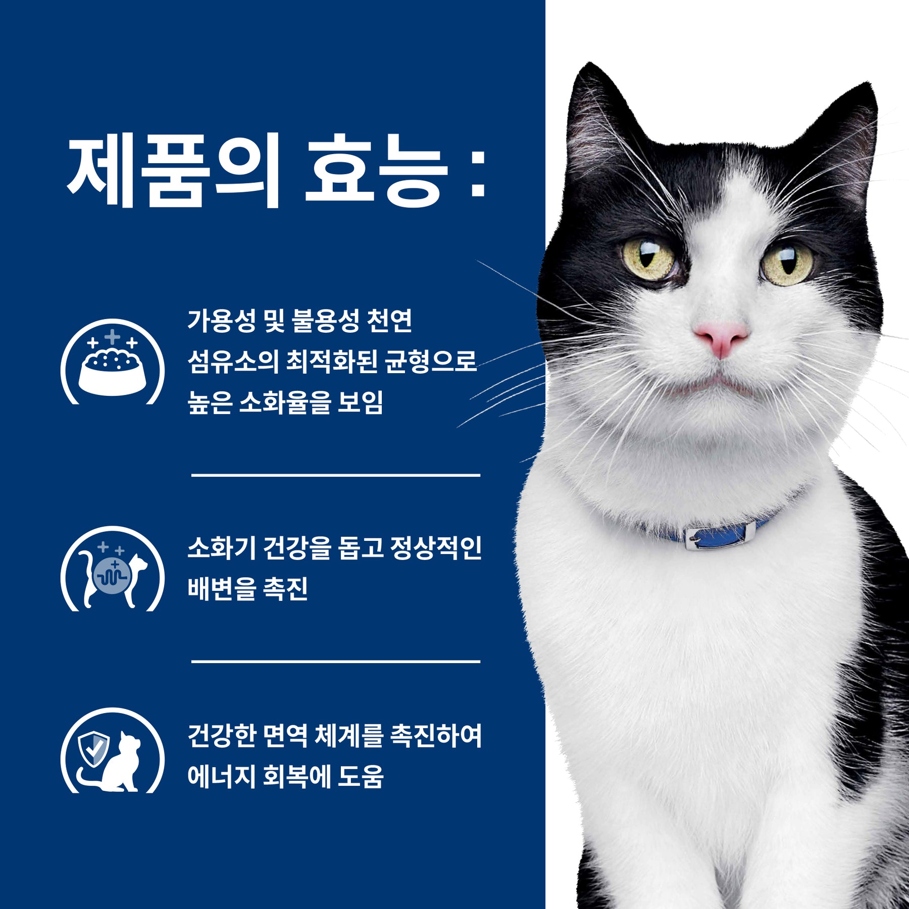 힐스 프리스크립션 다이어트 i/d 반려묘용 건사료 1.81kg