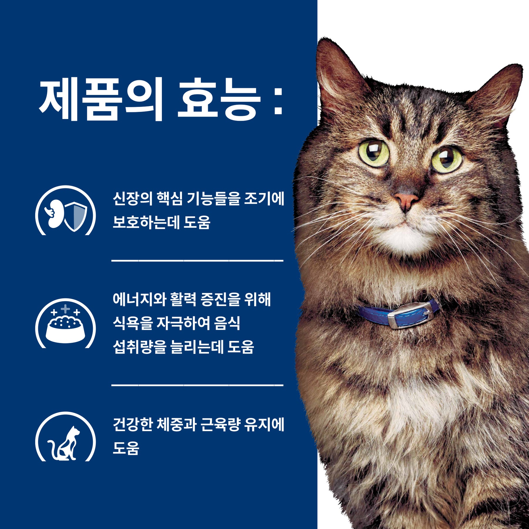 힐스 프리스크립션 다이어트k/d 얼리 서포트 반려묘용 건사료 1.81kg