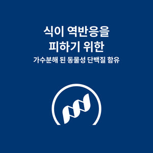 힐스 프리스크립션 다이어트 z/d 하이드롤라이즈드 치킨 플레이버 반려묘용 습식사료 156g X 6캔