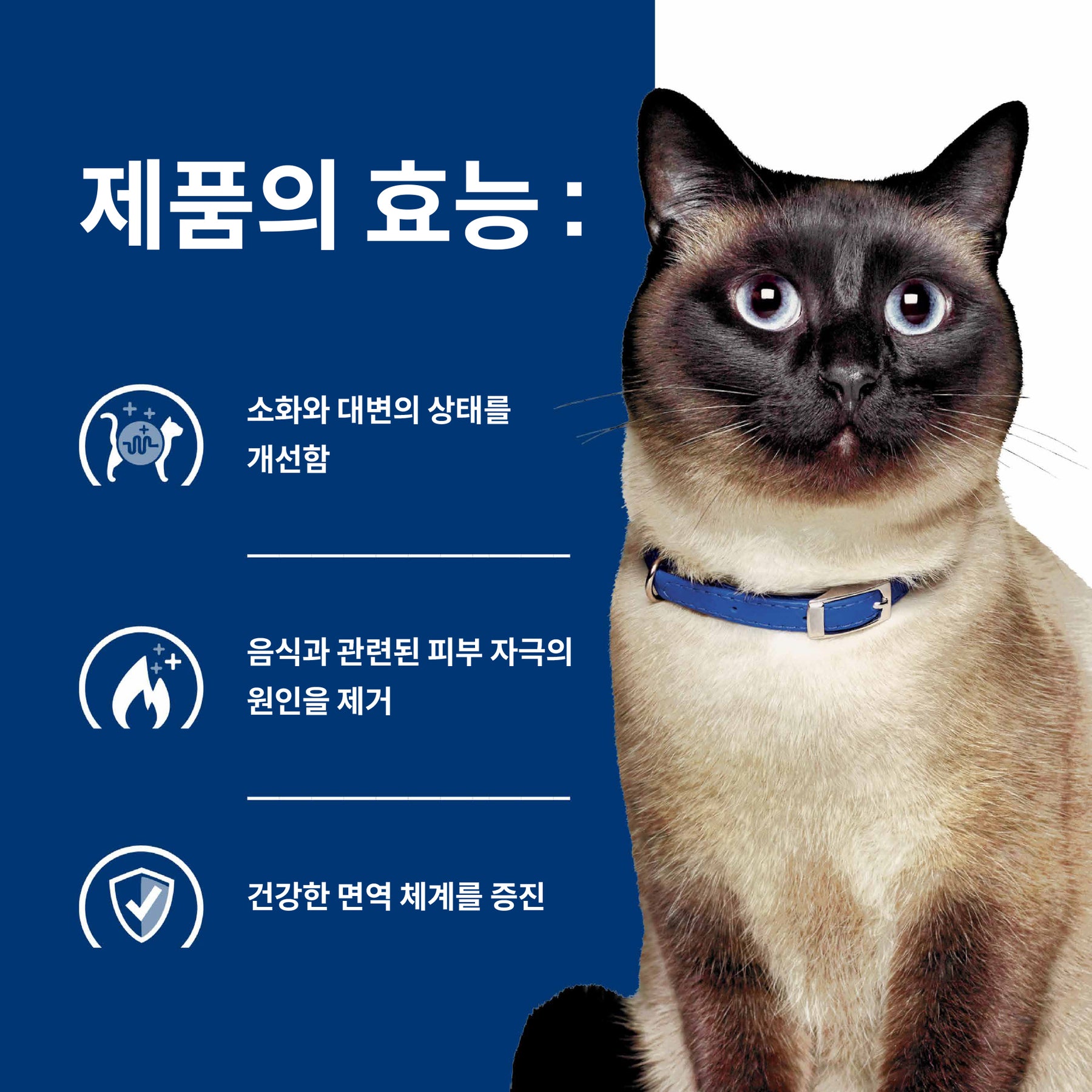 힐스 프리스크립션 다이어트 z/d 하이드롤라이즈드 치킨 플레이버 반려묘용 건사료 1.81kg