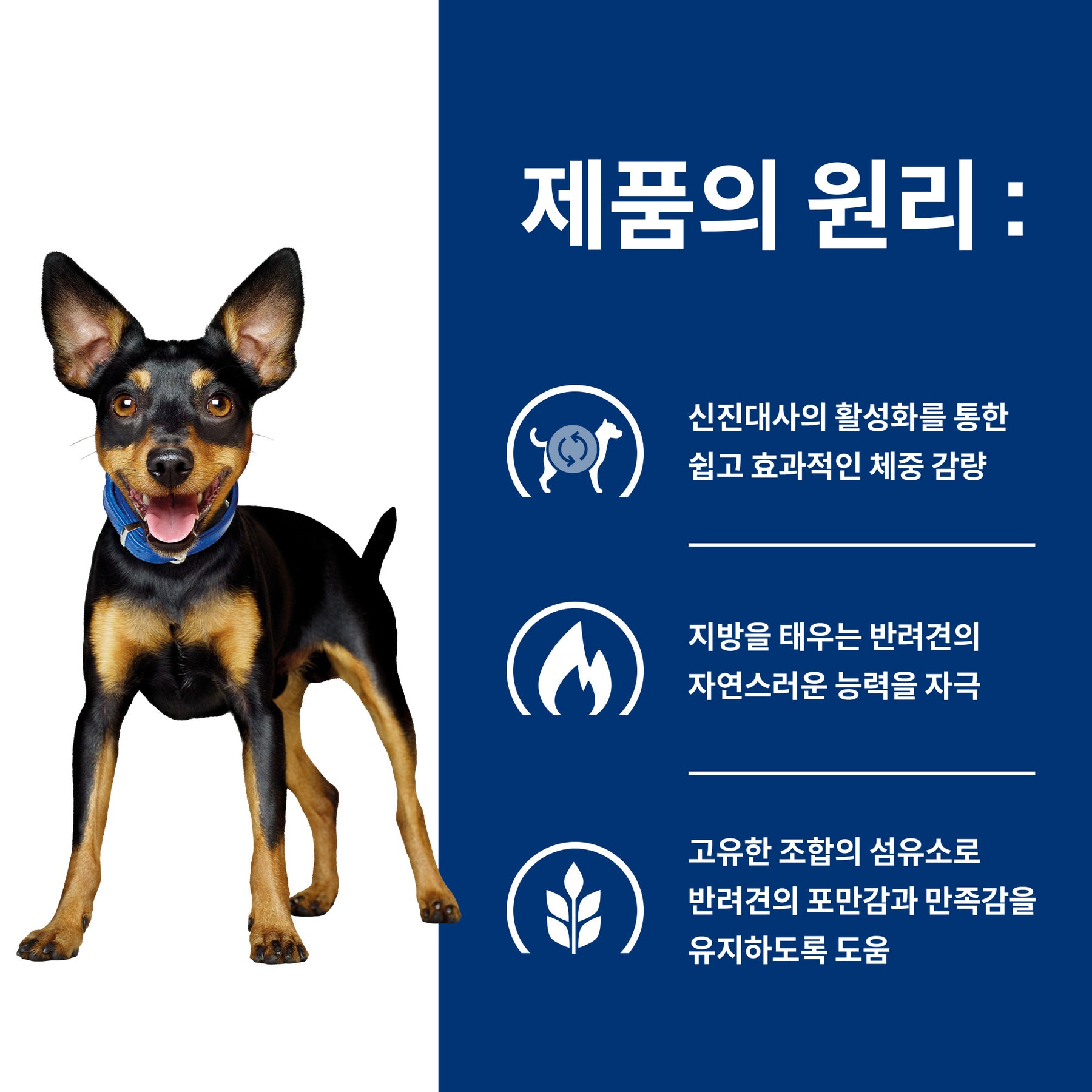 힐스 프리스크립션 다이어트 Metabolic 스몰바이트 반려견용 건사료