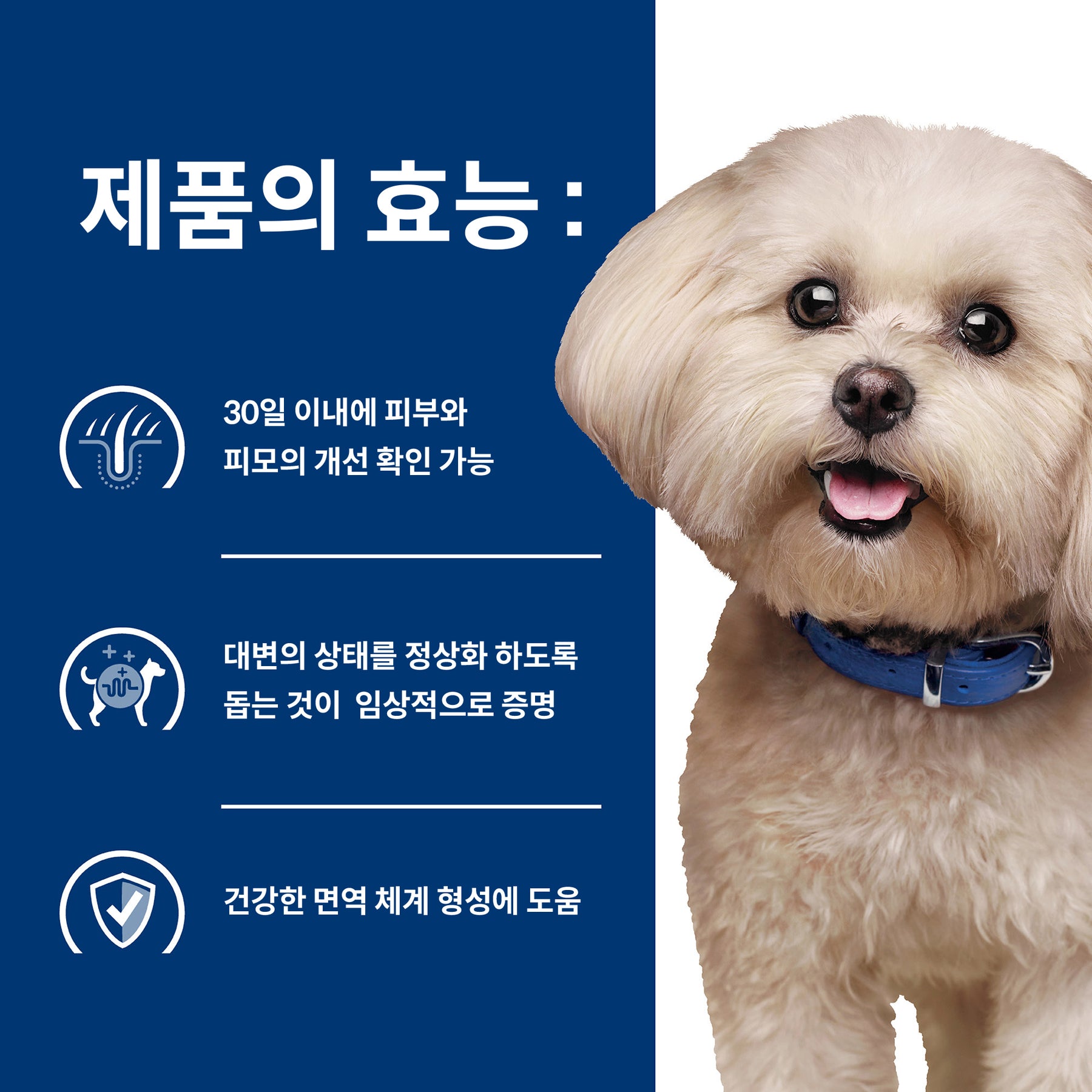 힐스 프리스크립션 다이어트 z/d 스몰바이트 하이드롤라이즈드 치킨 플레이버 반려견용 건사료